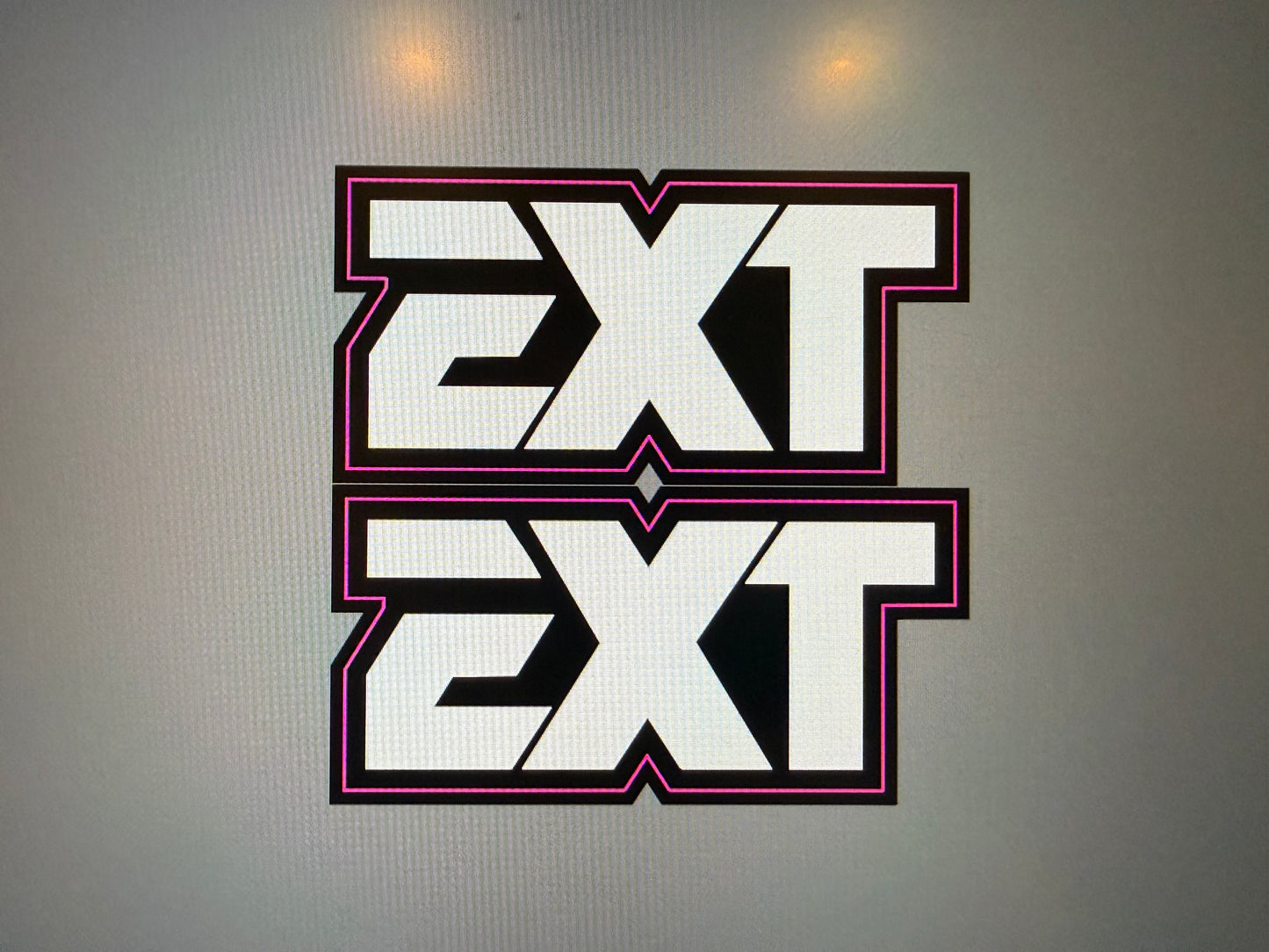 EXT Fork Tube Decals